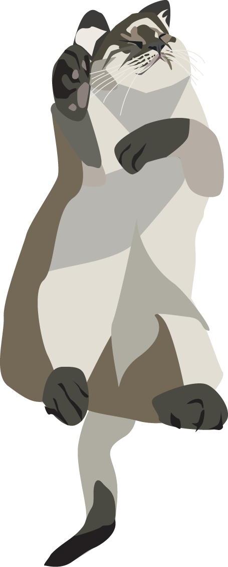 vector image of bear, a siberian blue colorpoint cat